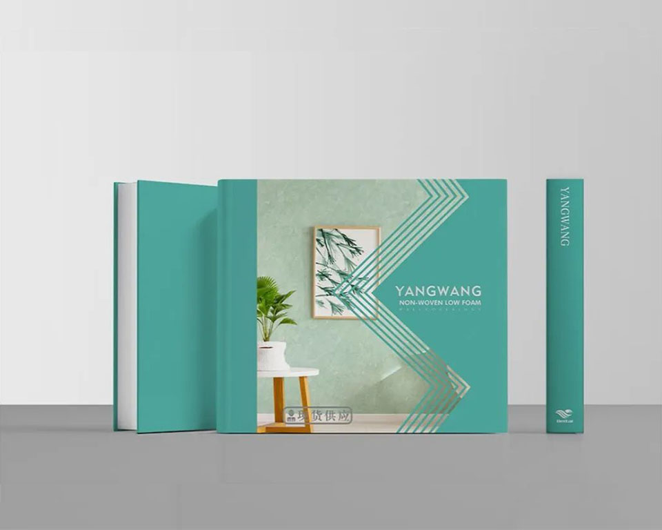 簡(jiǎn)約無紡壁紙—《仰望》